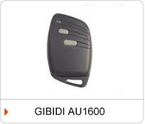 GiBiDi Remote Control